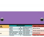 WhiteCoat Clipboard® - Lilac Occupational Therapy Edition